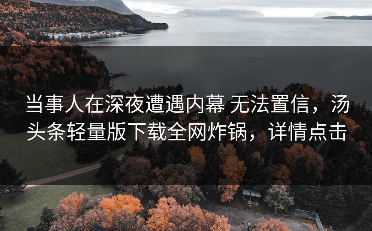 当事人在深夜遭遇内幕 无法置信，汤头条轻量版下载全网炸锅，详情点击