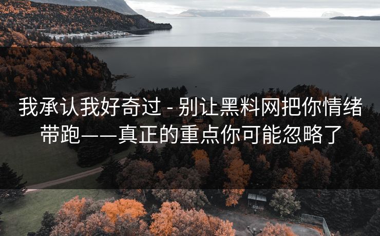 我承认我好奇过 - 别让黑料网把你情绪带跑——真正的重点你可能忽略了